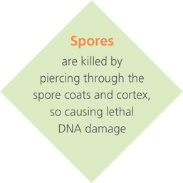 spores diamond