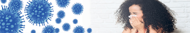 Virus header2